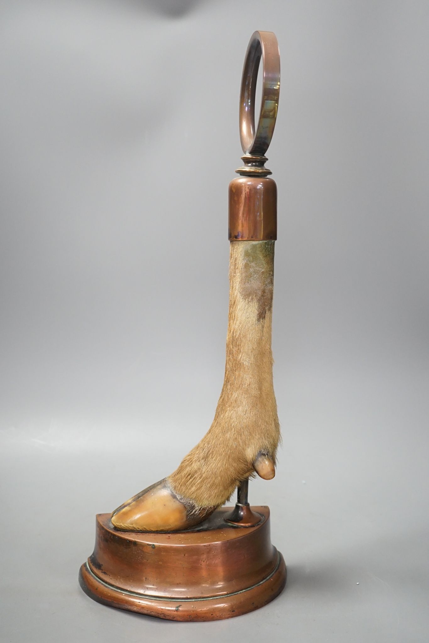 A Victorian taxidermic deer's hoof door-stop with copper cased base 48cm